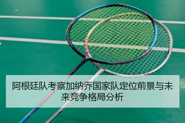 阿根廷队考察加纳乔国家队定位前景与未来竞争格局分析